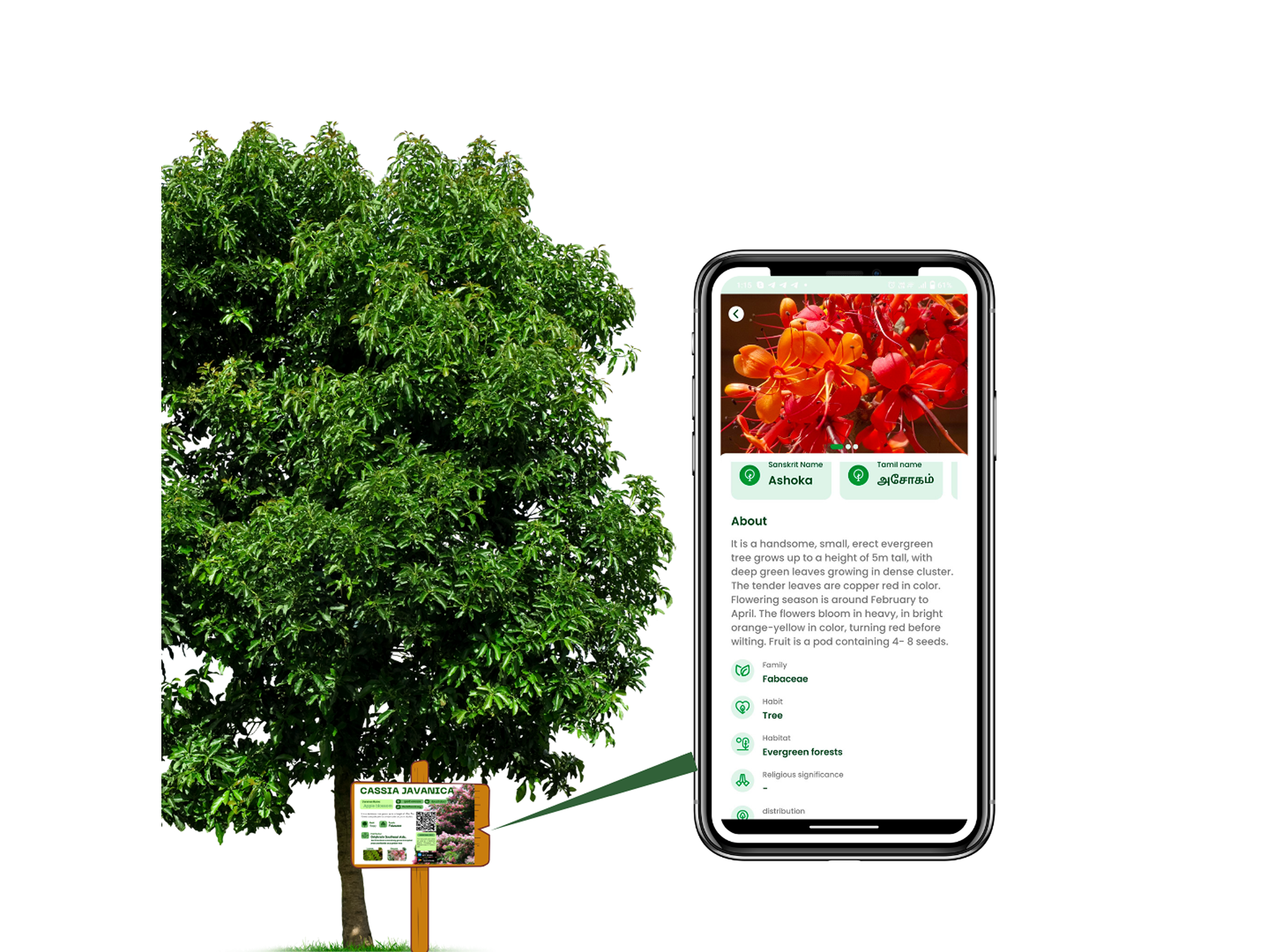 QR Tag Image