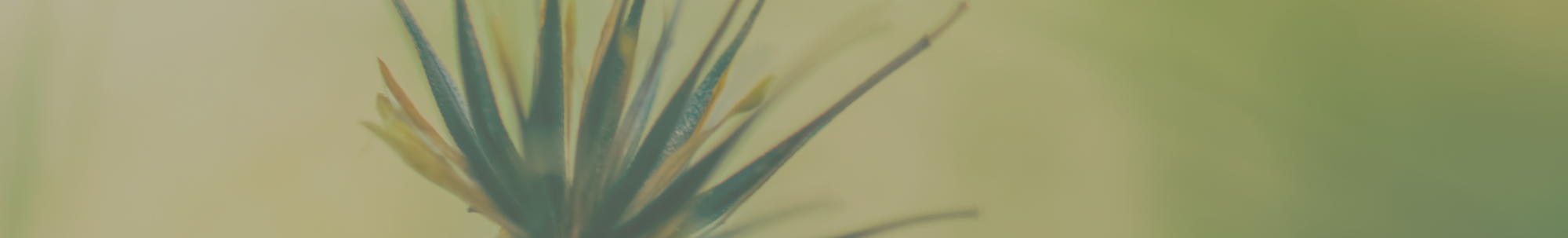 Hero background
