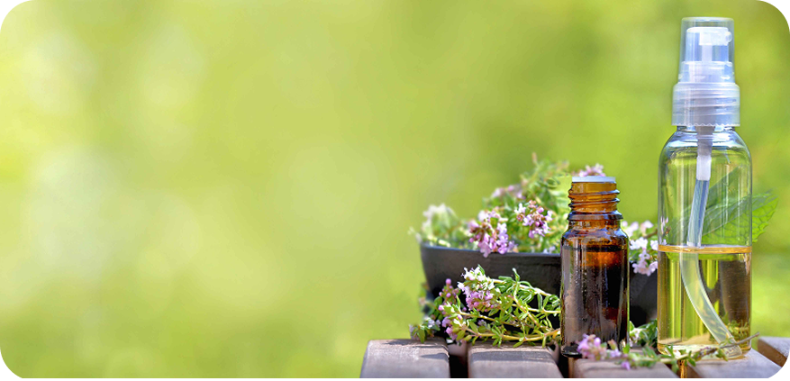 Top 10 Medicinal Plants Indigenous to India and Their Health Benefits